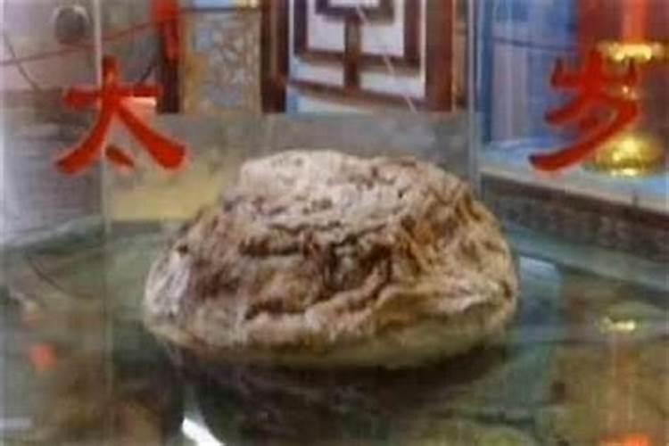 挖出来的太岁会动吗？