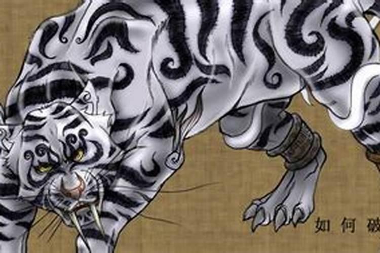 白虎押运势怎么破解？