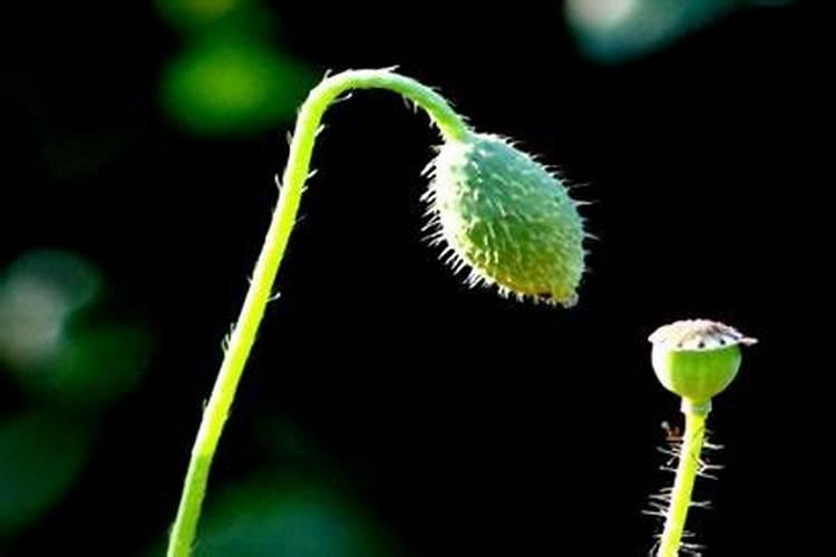 堕胎婴灵阳上写谁的名字？