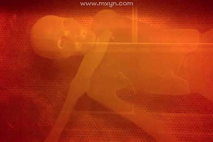 梦见家中活着老人死而复生