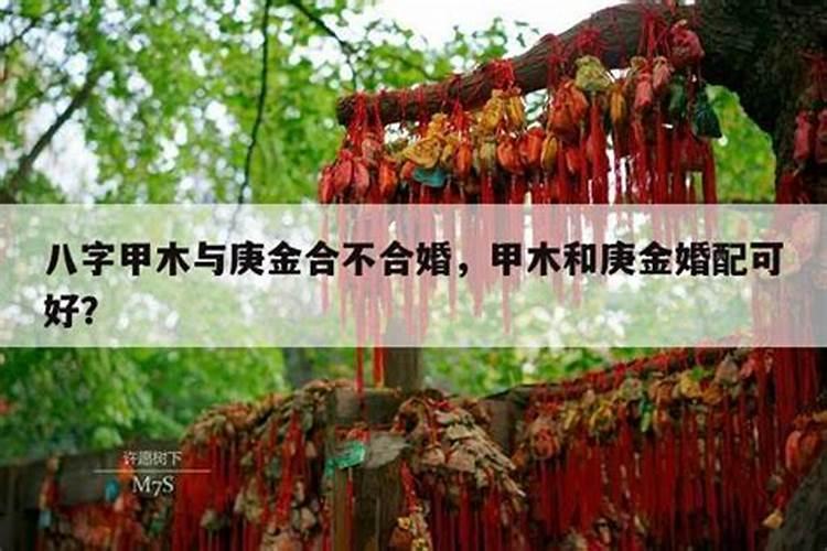 八字合婚乙木遇庚金怎样？