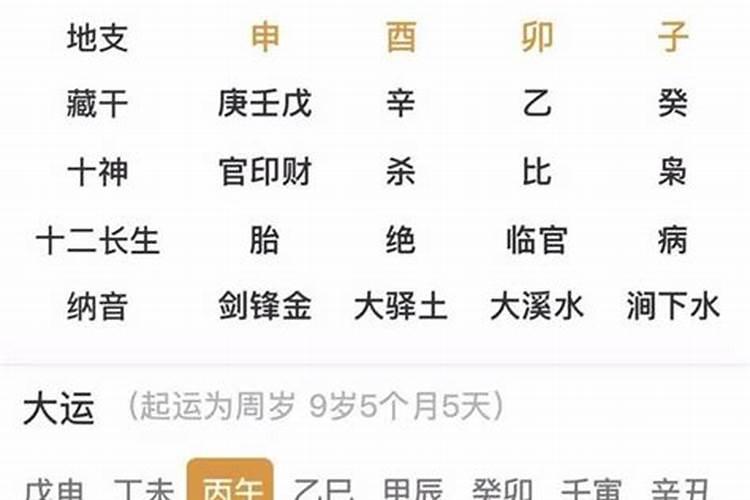 大运辛未冲月支丁丑会咋样？