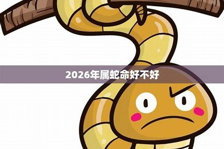 64年属蛇2026年运势
