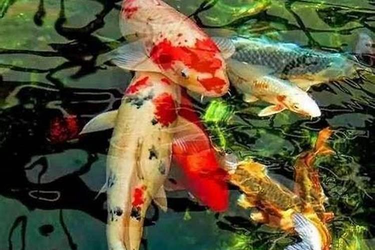 提升运气最灵的办法是