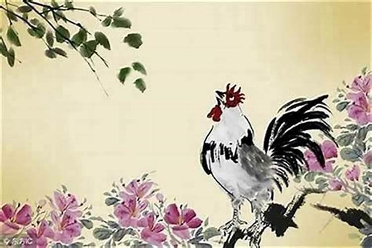 属鸡木命今年运势