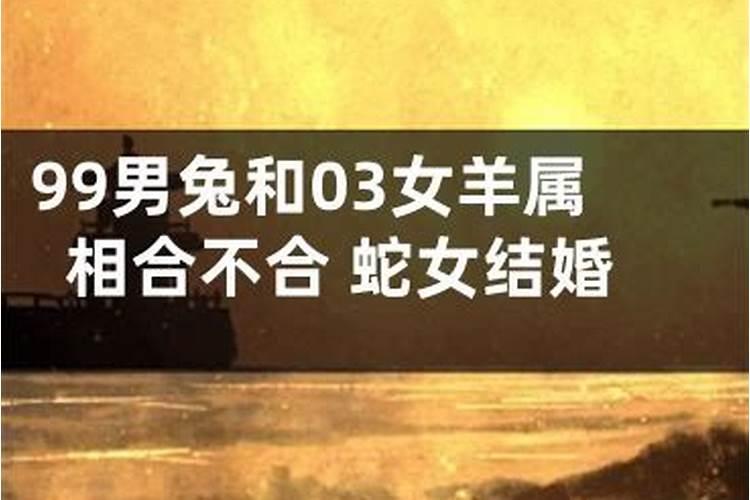 男蛇女羊八字合不合