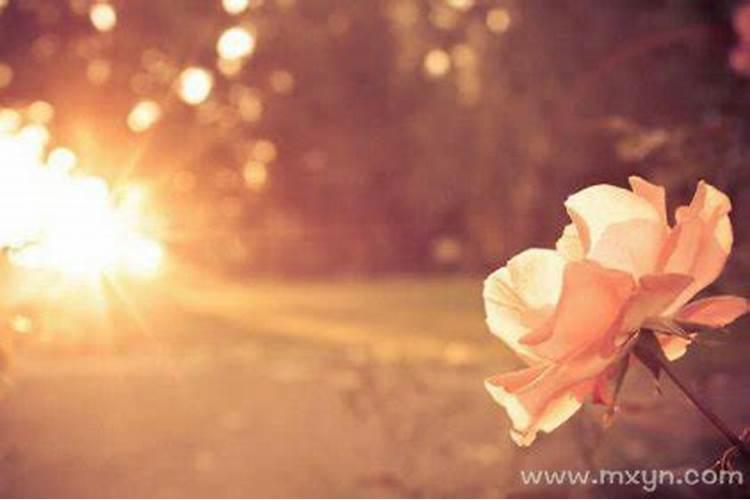 梦见母亲去世预兆什么？