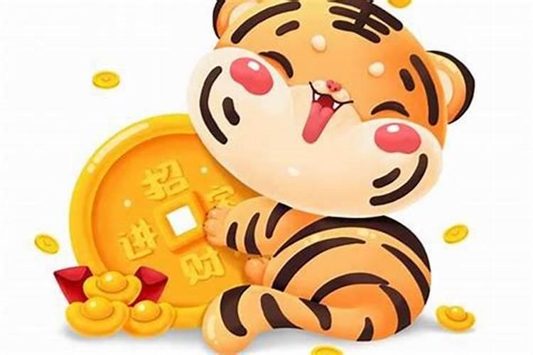 虎属相今年的运势