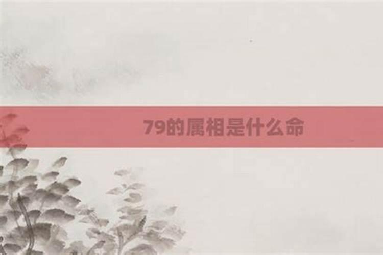 79年是什么命？