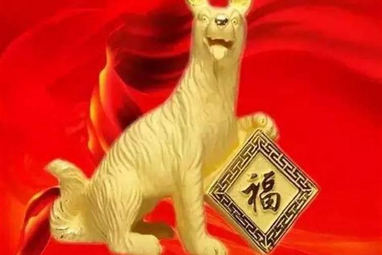猪年属狗运势2026年运程