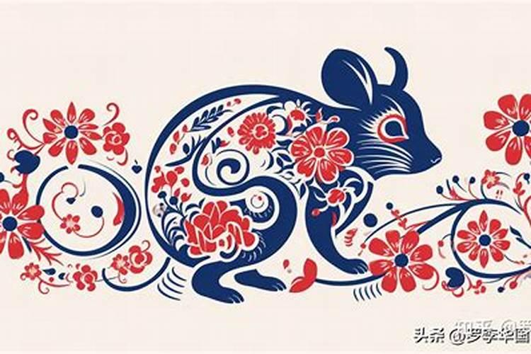 属鼠的今年运势2026年