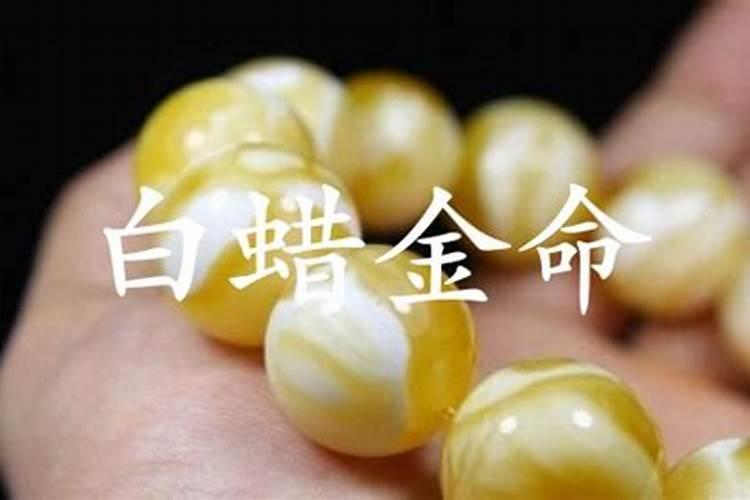 白蜡金命是什么意思？
