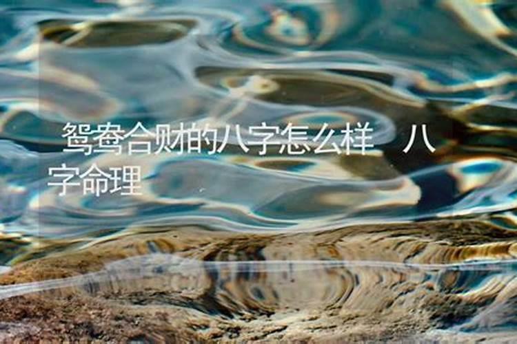 八字鸳鸯合命理解释