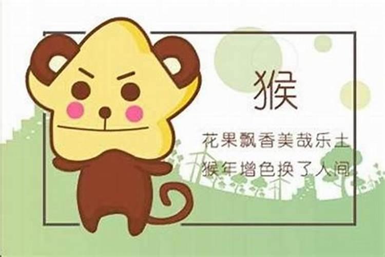 属猴子和猴子八字合吗？