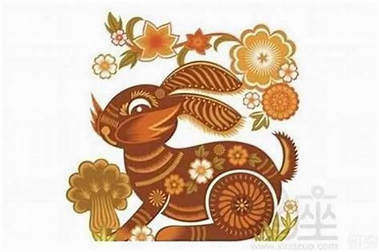 2026年属兔运势不好怎么办？