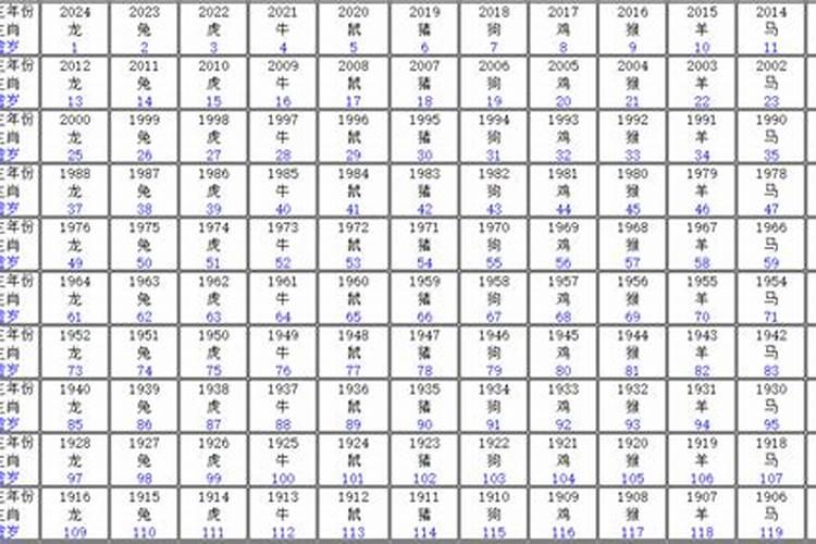 属狗的年龄表