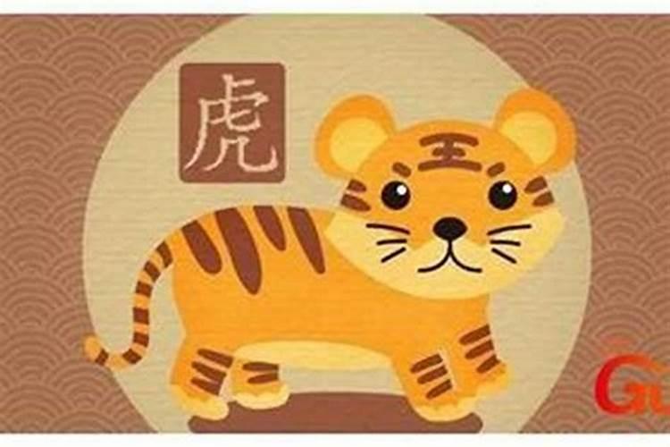 1986年的虎在2026本命年