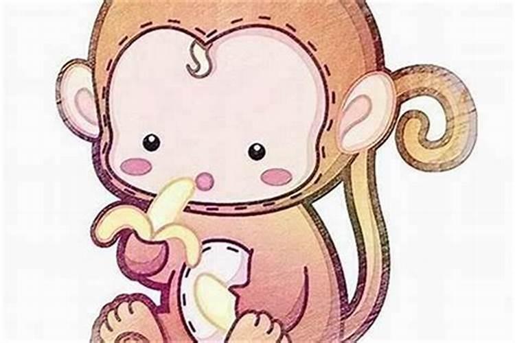 属狗和属猴的合婚吗？