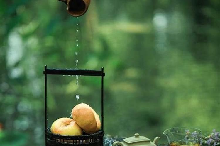 属狗的鼠年运势2026年运程