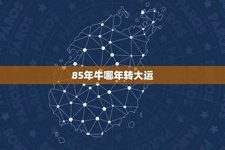 1985牛年生人2026年的运程