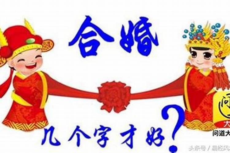 八字命理都不合