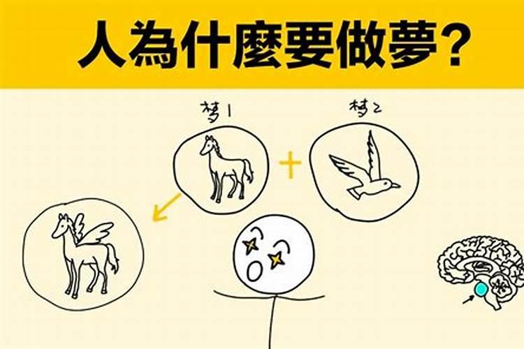 做梦能说出来吗？