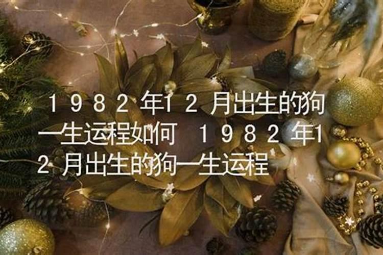 狗年1982运程如何？