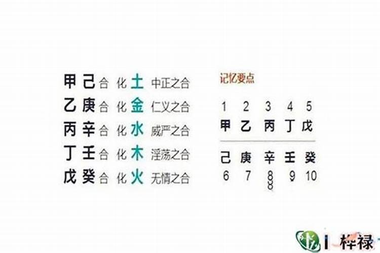 八字争合的详细解读