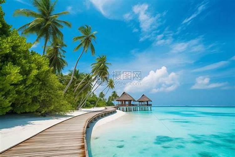 梦见看到漂亮的海景