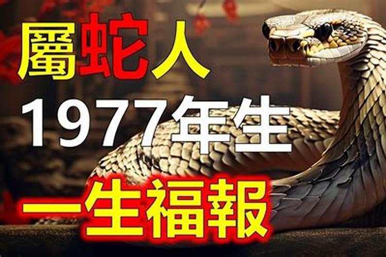 1977年蛇是什么命？