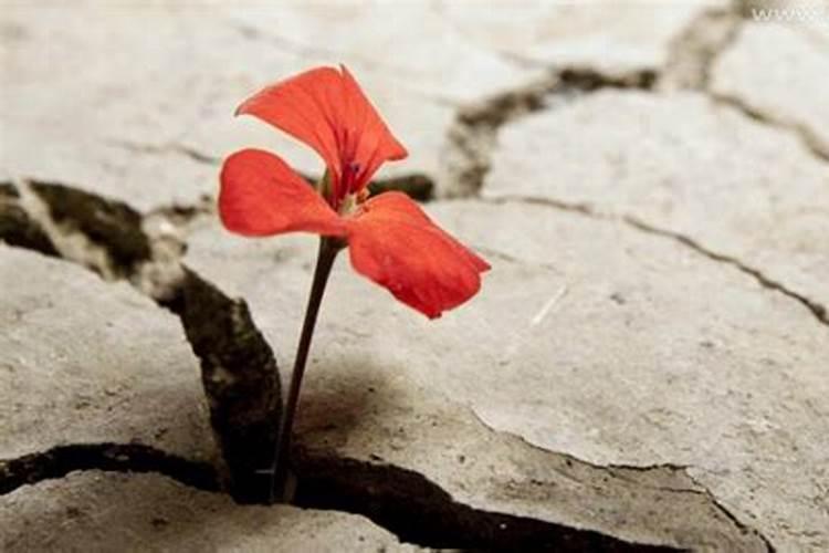 梦到自己家人受伤是什么意思？