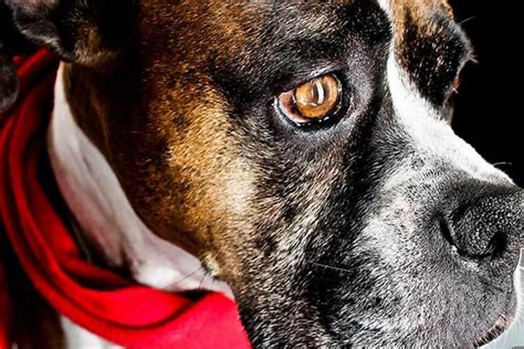 普宁哪里合八字准？