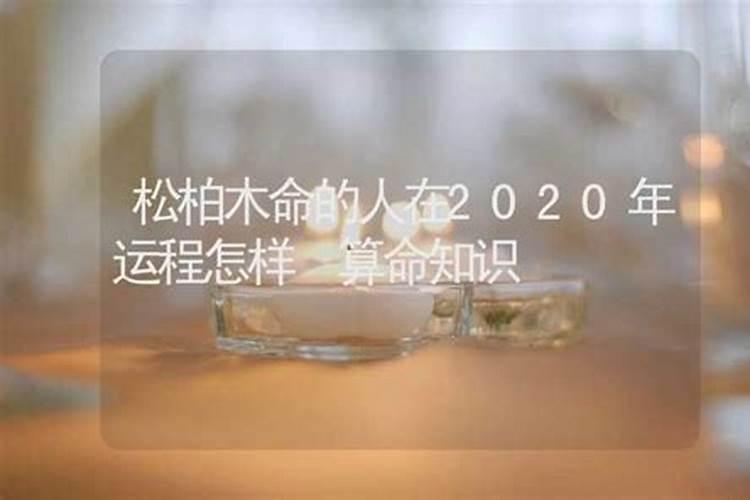 松柏木2026年运程