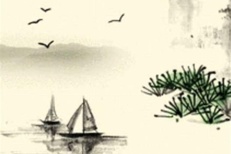 1986年正月初四出生运程