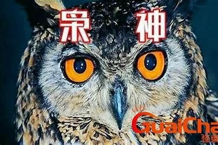 八字中枭是什么意思？