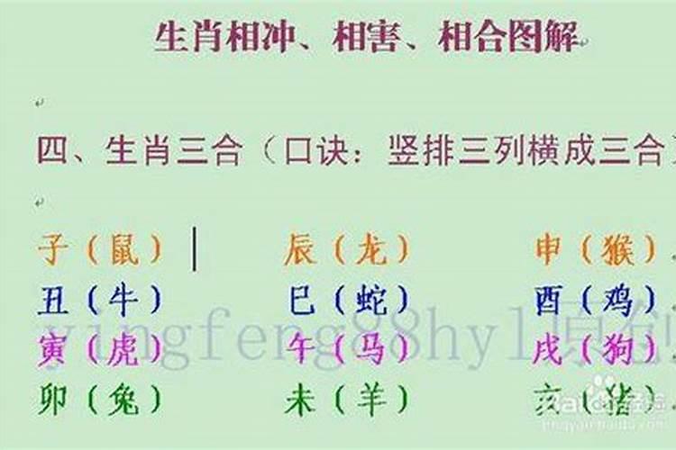 上等婚配的有哪些属相？