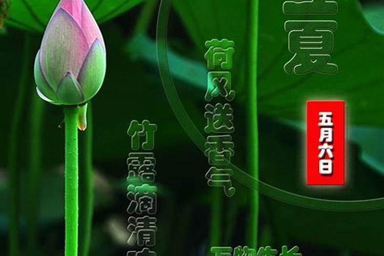 明天立夏了该注意什么？