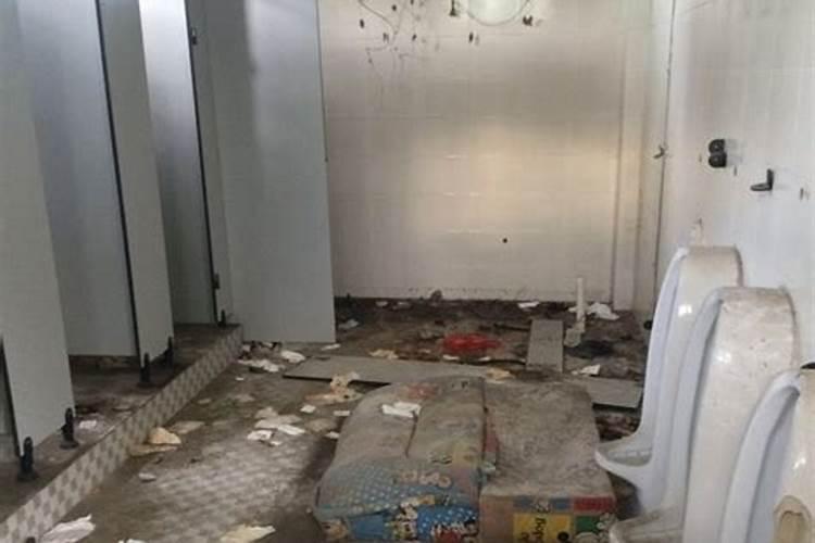 梦见厕所很脏有鸭子