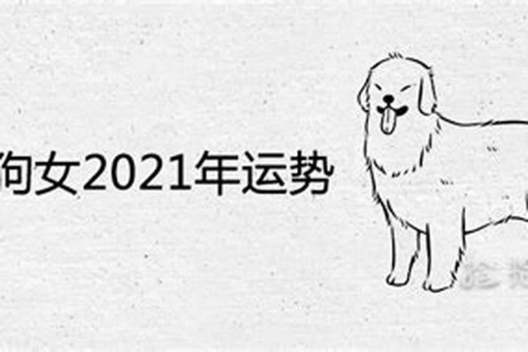 1982年的狗在2026年的运程