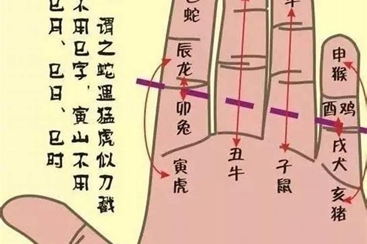 手指如何算生辰八字？