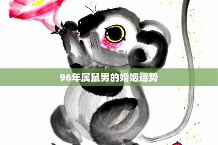 96年属鼠11月2026运势如何？