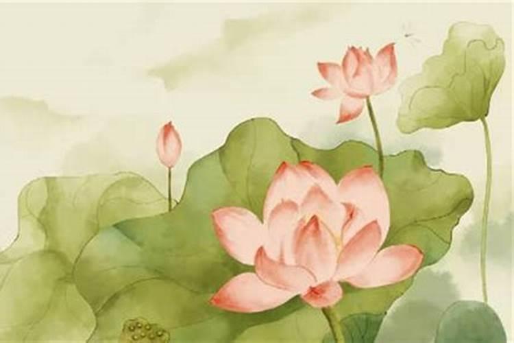 怎么知道自己的姻缘？