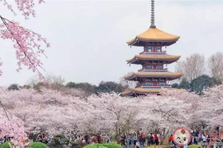 清明节宁波哪些景区开放？