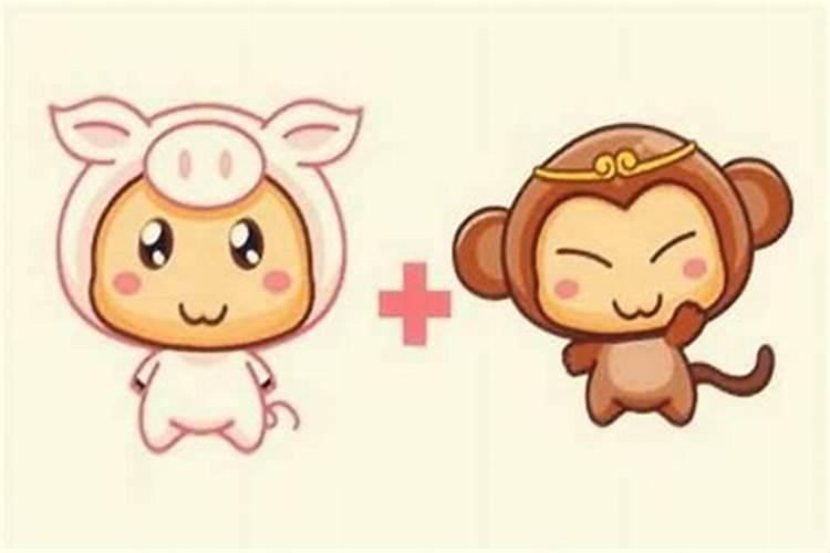 属猪和属兔八字合吗？