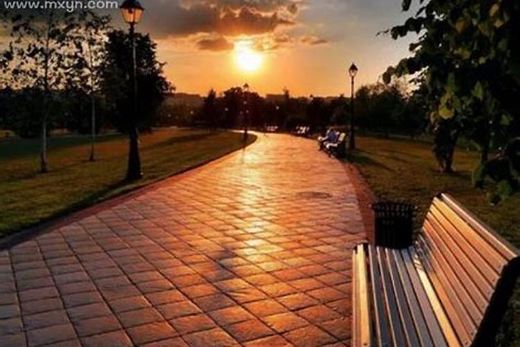 梦见男人死了预示什么？