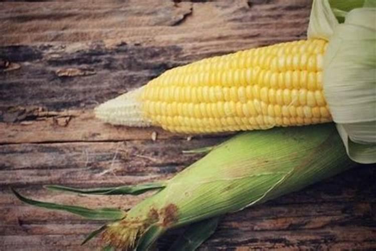 梦见大地里收玉米棒子