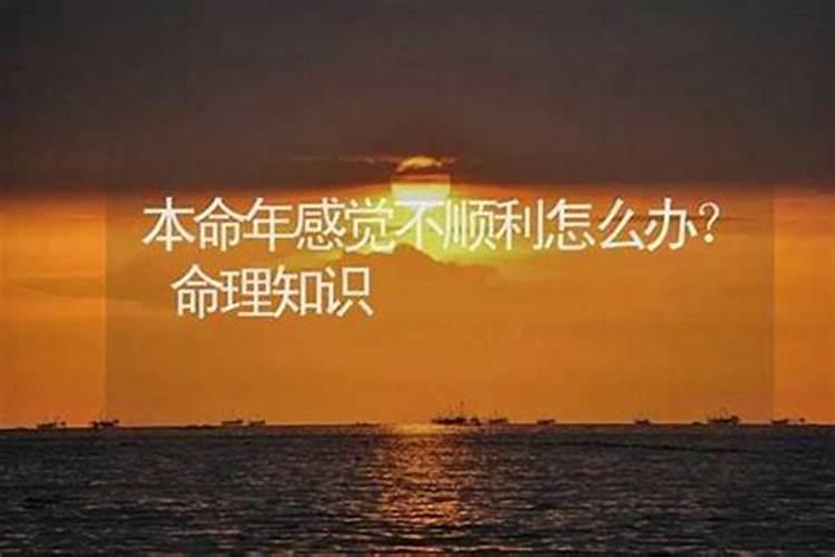 怎么破本命年的不顺？