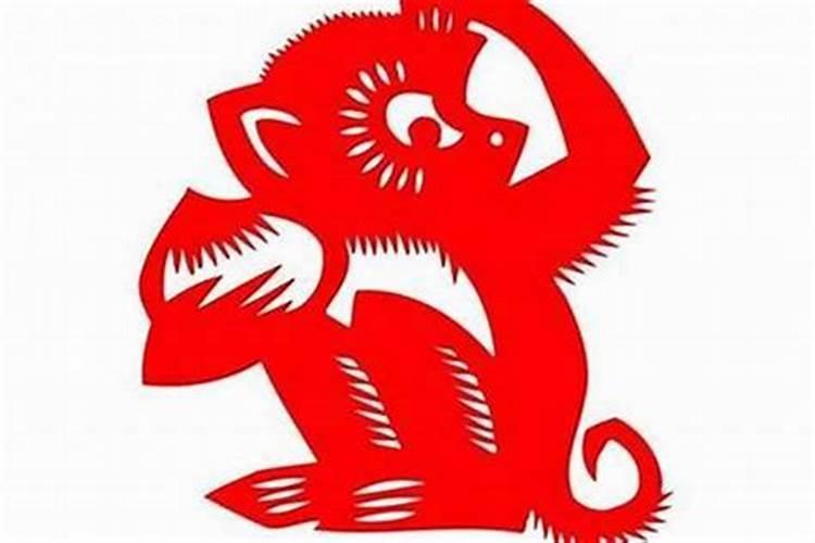 女属猴的和男属狗的合婚吗？