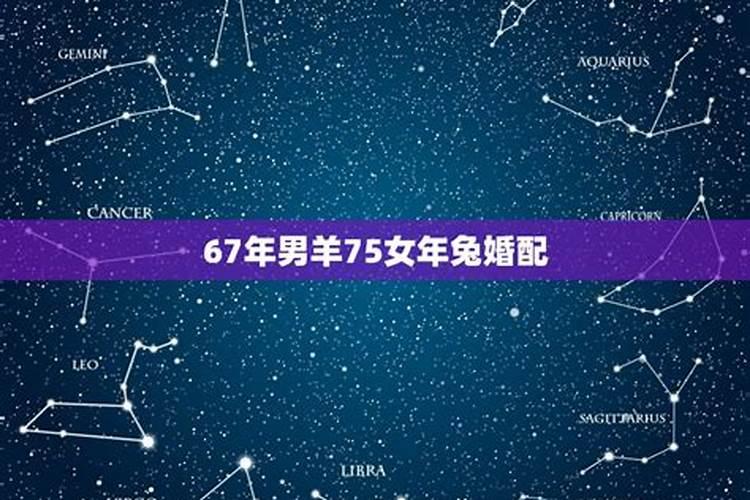 63年兔和67年羊合婚吗？