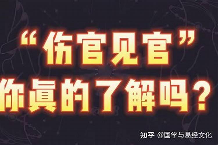 怎么看八字伤官见官？